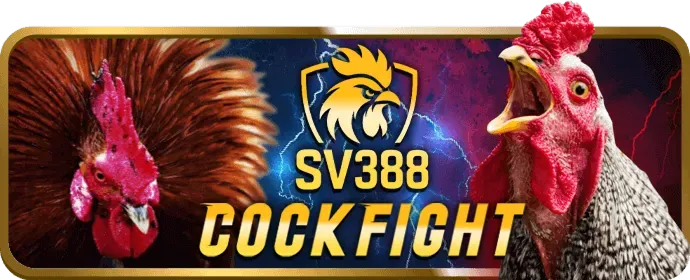 VFF88 cam kết cá cược có trách nhiệm và các hoạt động cộng đồng